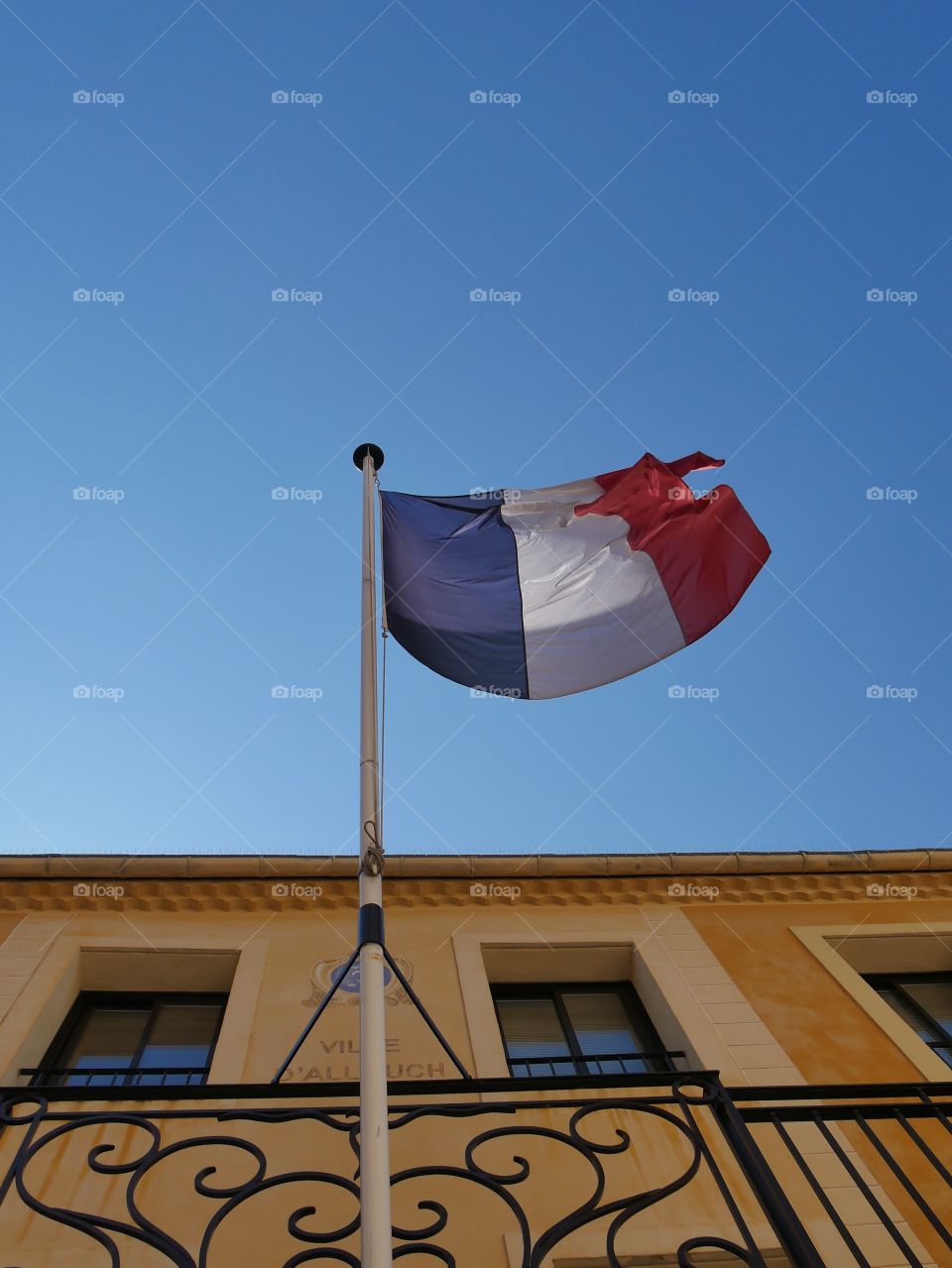 french flag