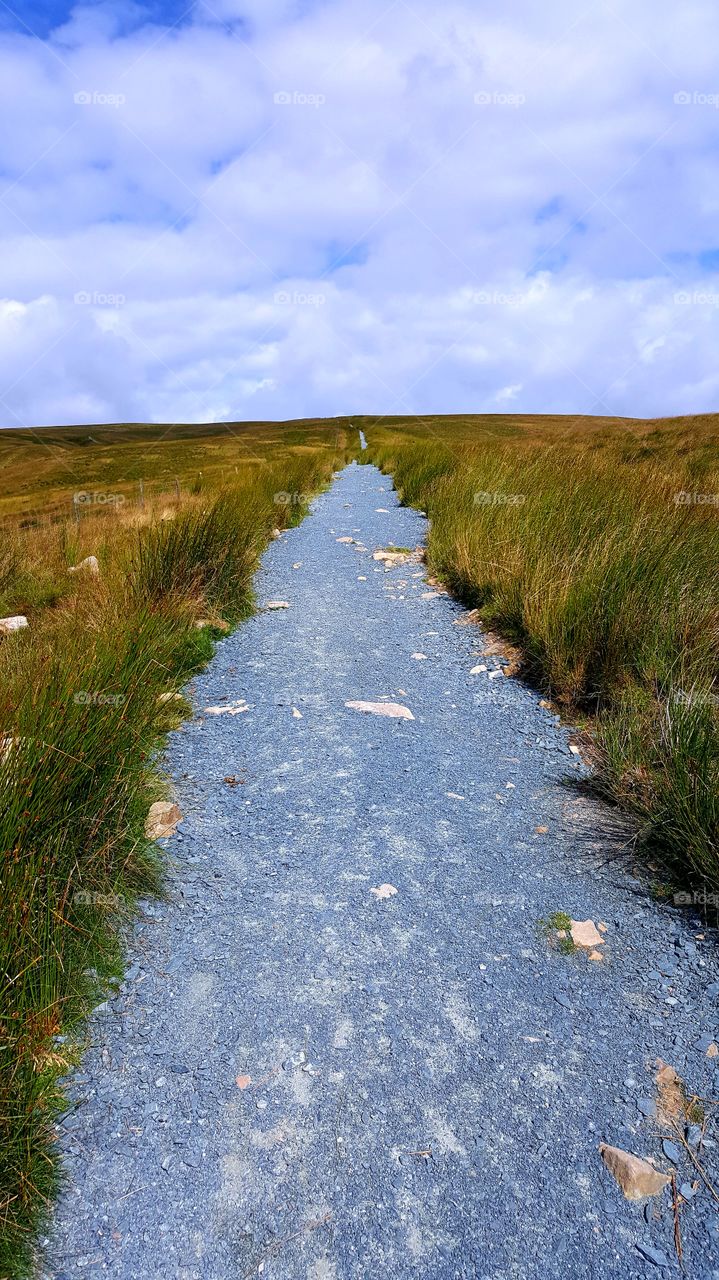 Whernside walk