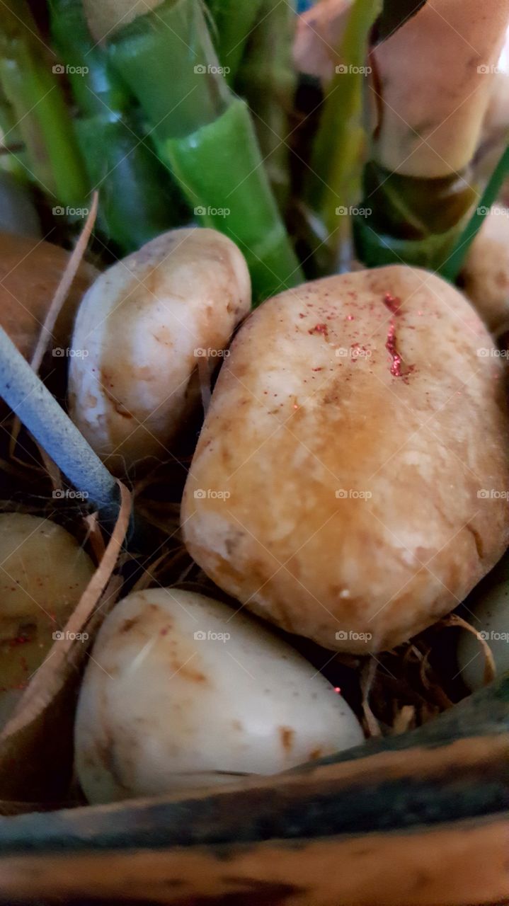 Beautiful macro shots