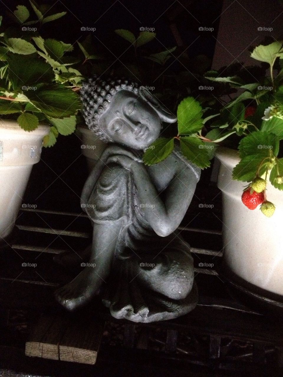 Buddha Figur Statue Stilleben Pflanzen Nachtaufnahme