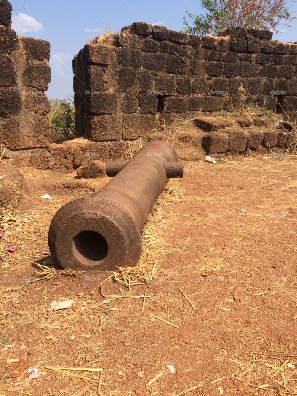 Old Portuguese cannon . In the old fort in Goa 