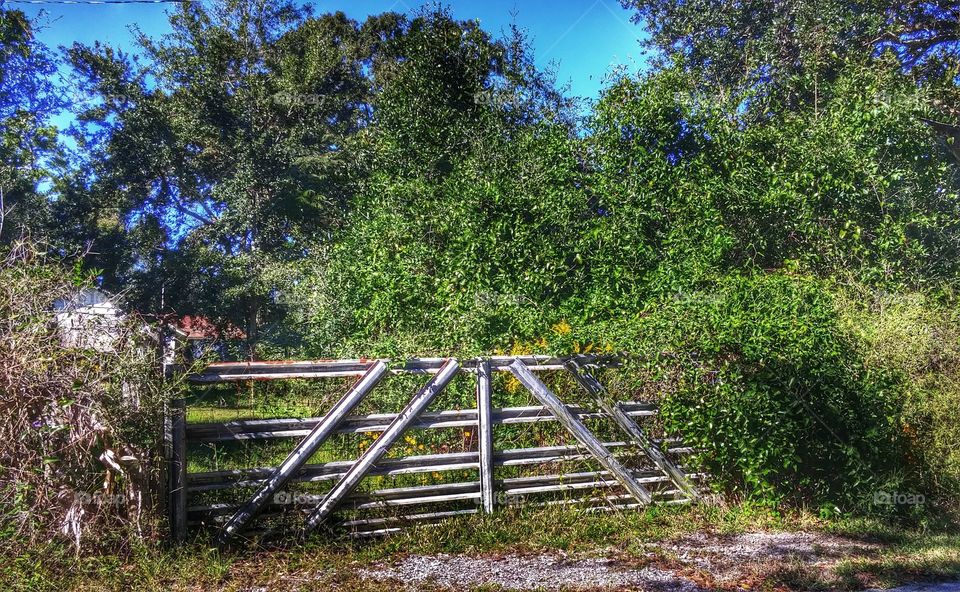gate to farm house