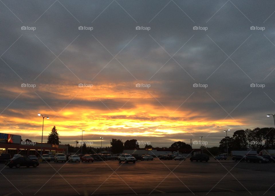 Sunset reflection on the wet asphalt after the rain