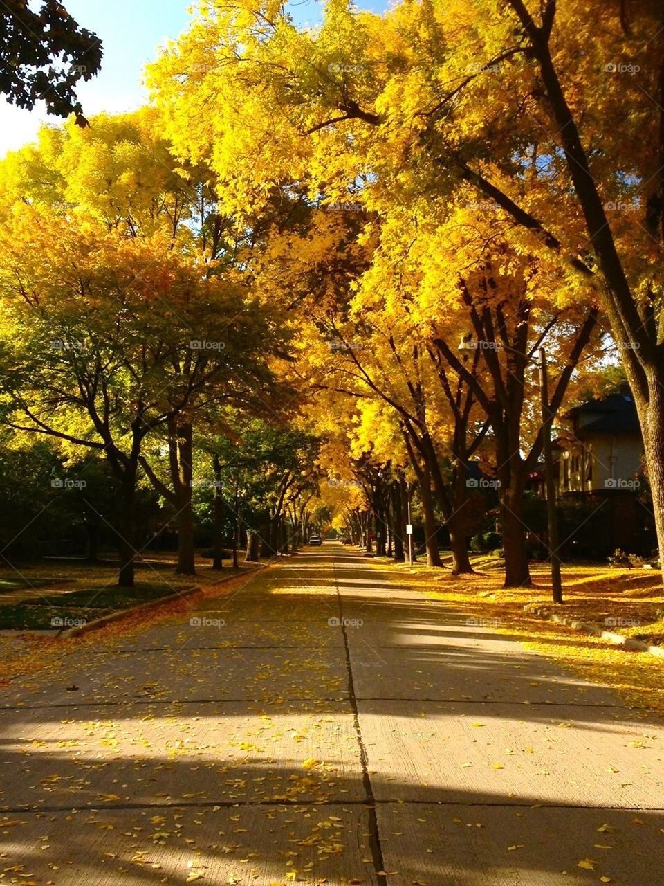 Fall street