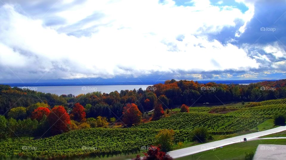Pure Michigan in the Fall. Vineyards and Wineries with the fall colors at their peak.