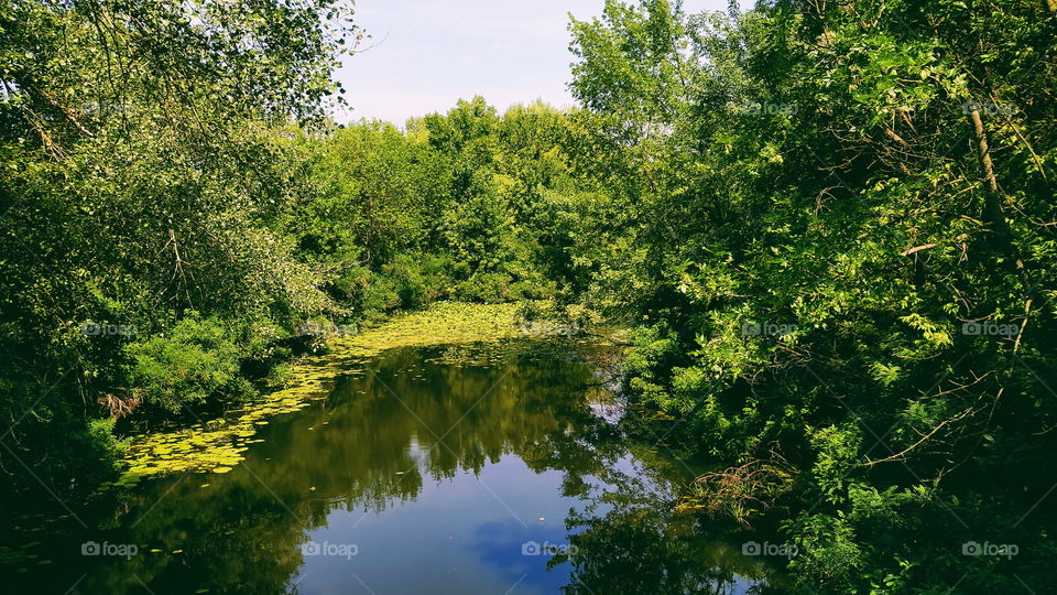 river in the park of the city of Kiev