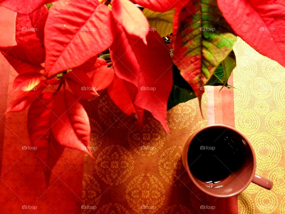 red poinsettia and a mug of Coffee