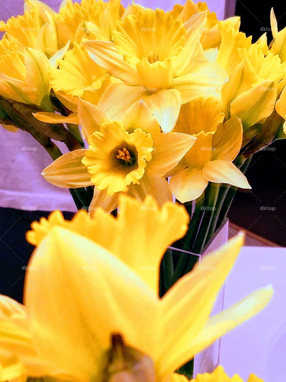 Yellow Flowers Reflection