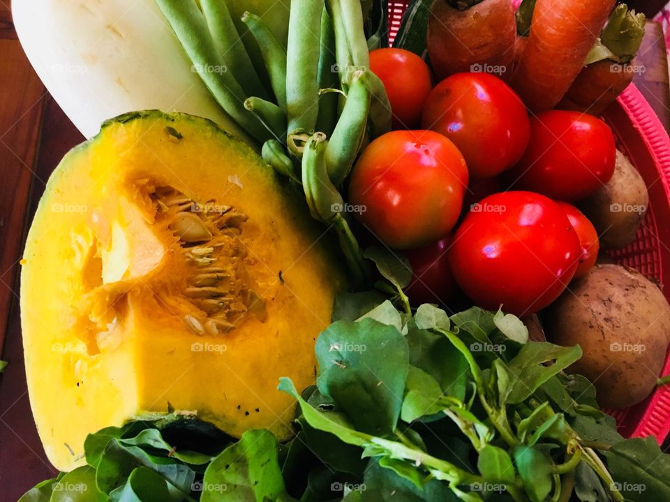 Healthy veggies look fresh and bright