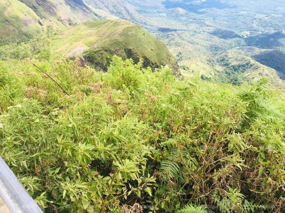 Nature create beauty