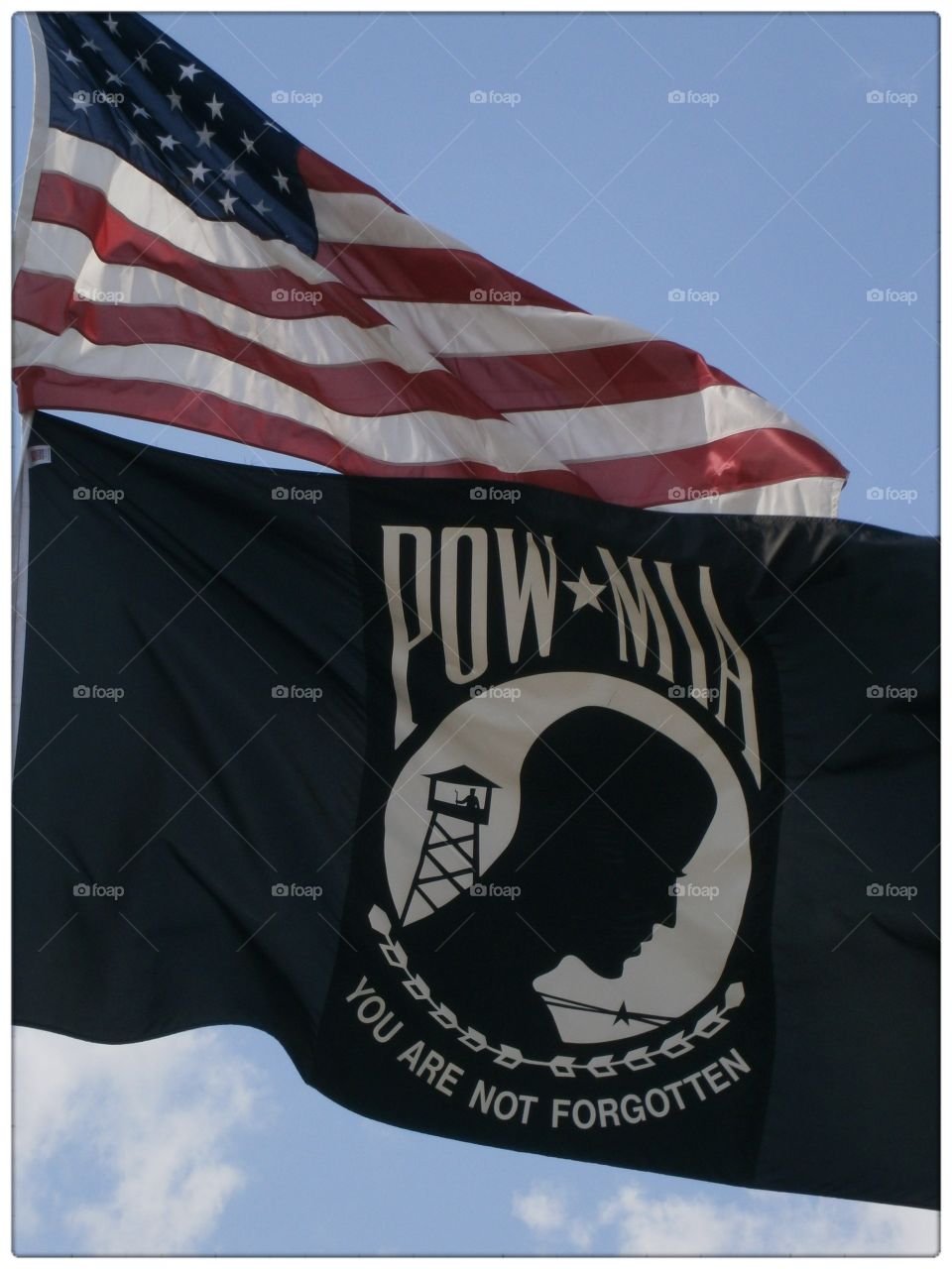 pow*mia