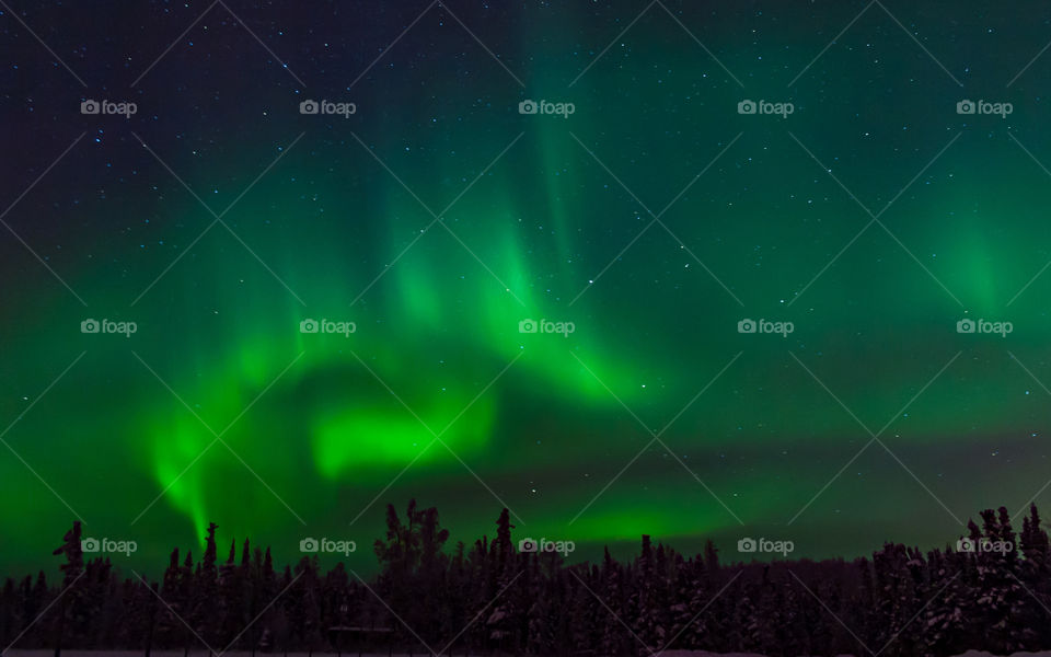 Beautiful view of aurora borealis at night