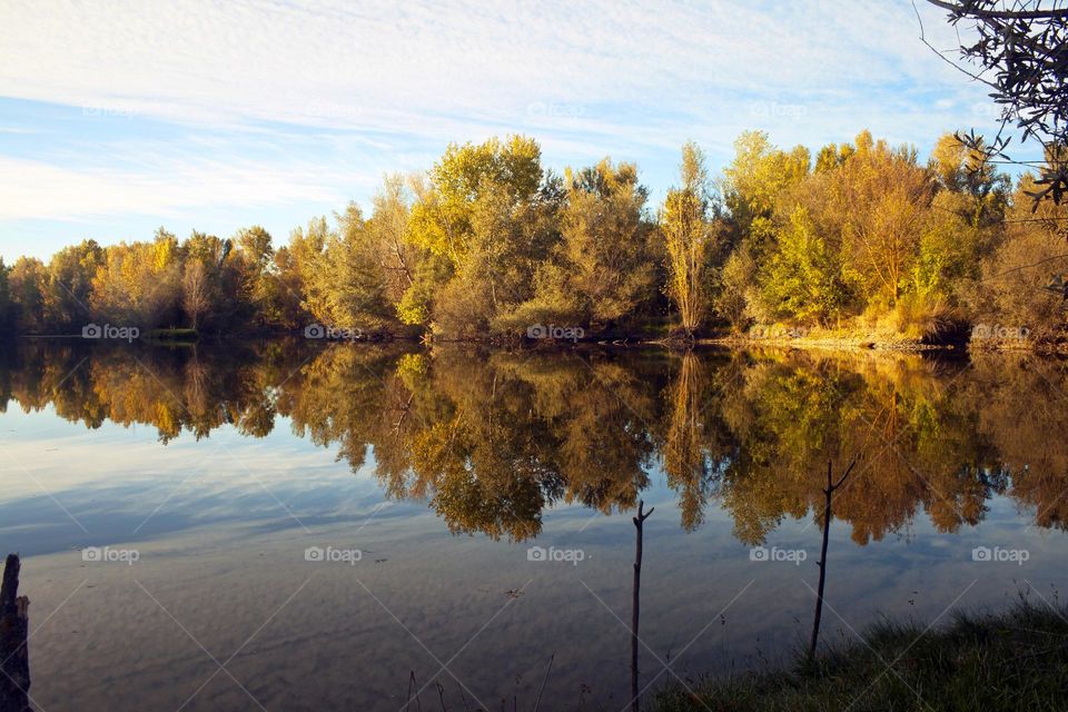 Symmetric landscape reflecting over a lake surface
