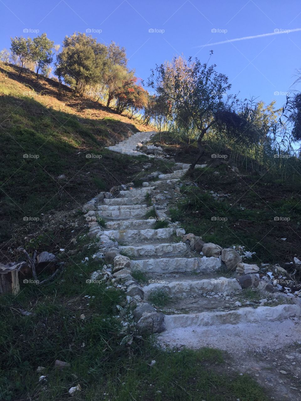 Empty staircase along with grass