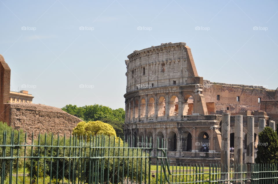 Coliseum 