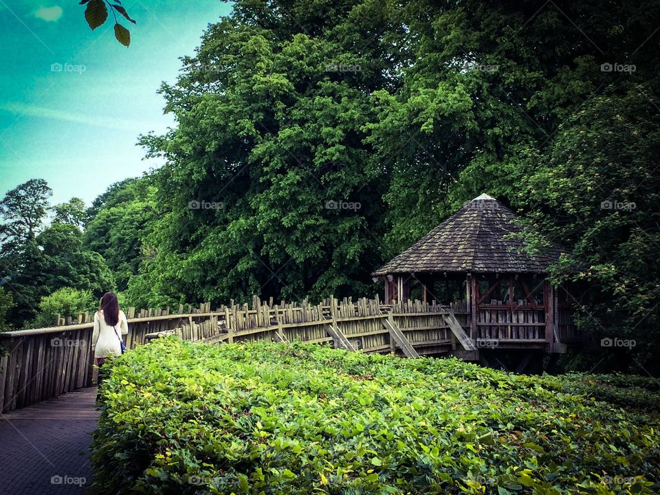 Come to the treehouse with me. Treehouses at Alnwick Gardens