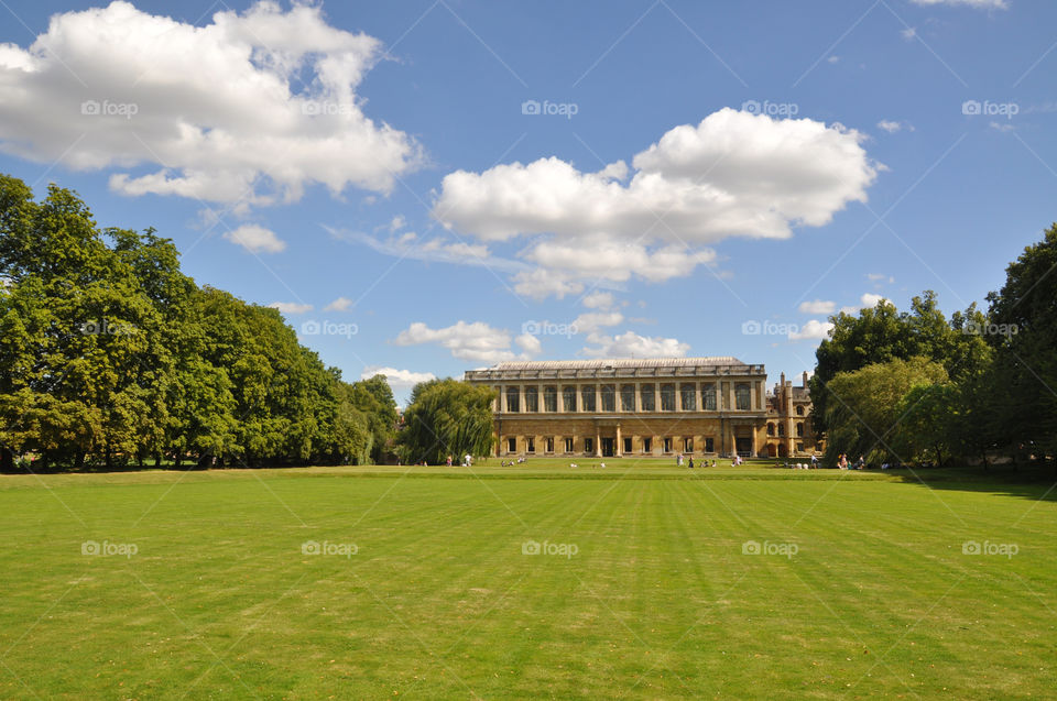 Cambridge university 