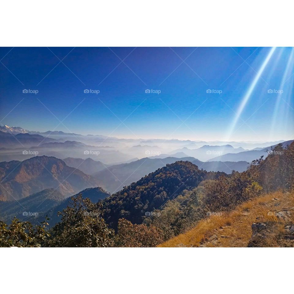 Editors' Choice: Photo of the week