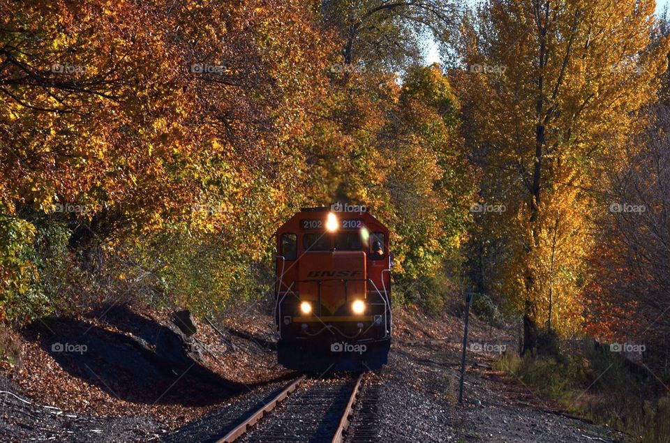 Train and autumn leaves