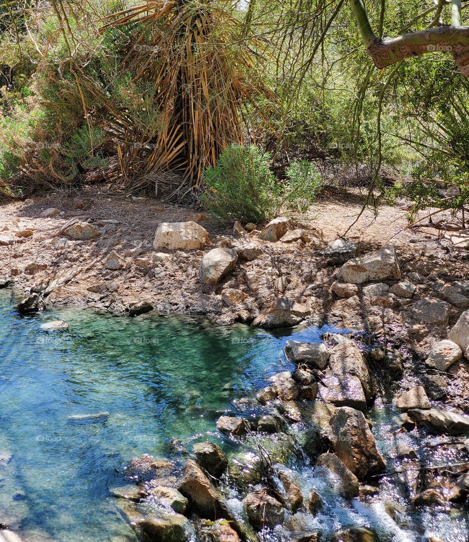 Arizona Creek on a Spring Day