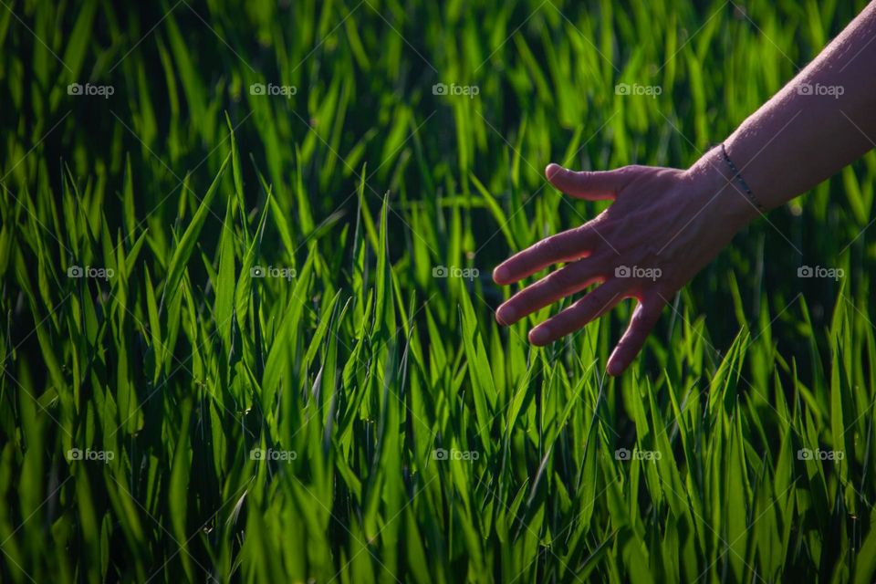 Touching the field 
