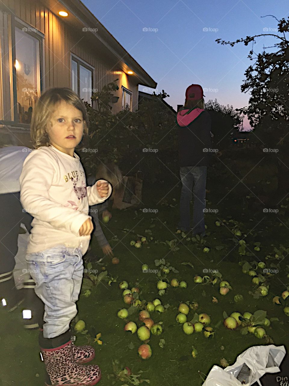 Helping to picking apples!