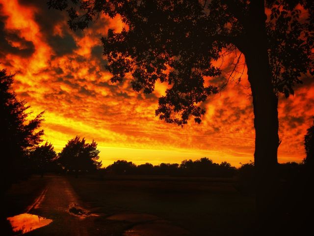 Halloween Sky