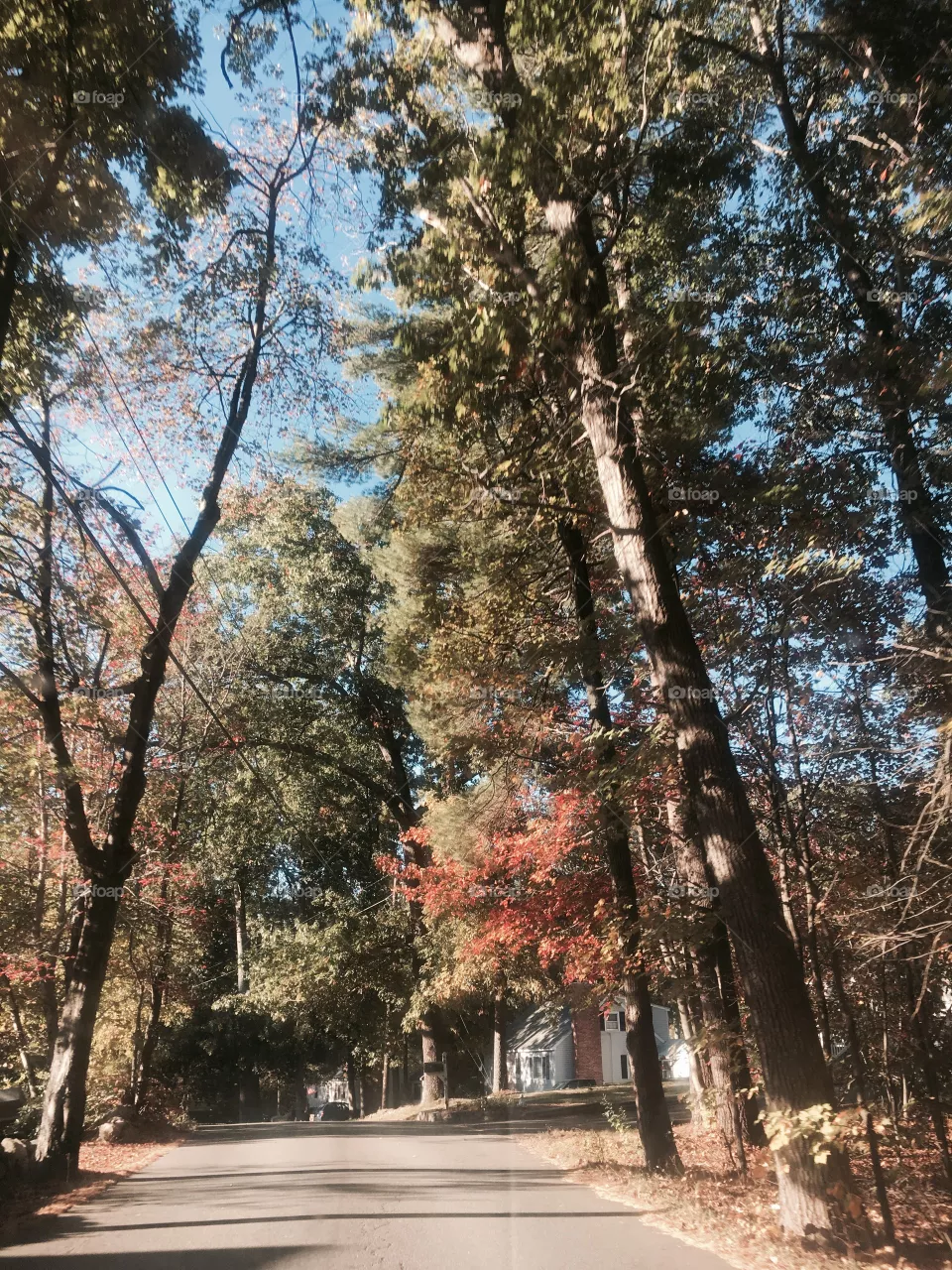 Fall 