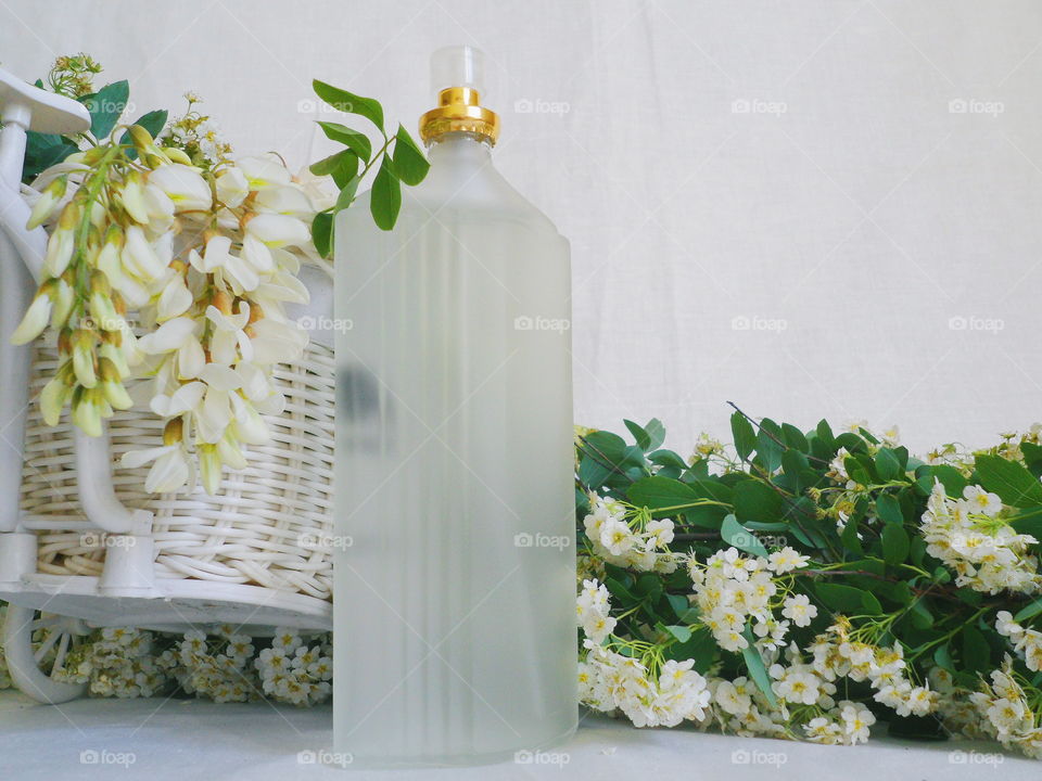 toilet water and white spring flowers on a white background