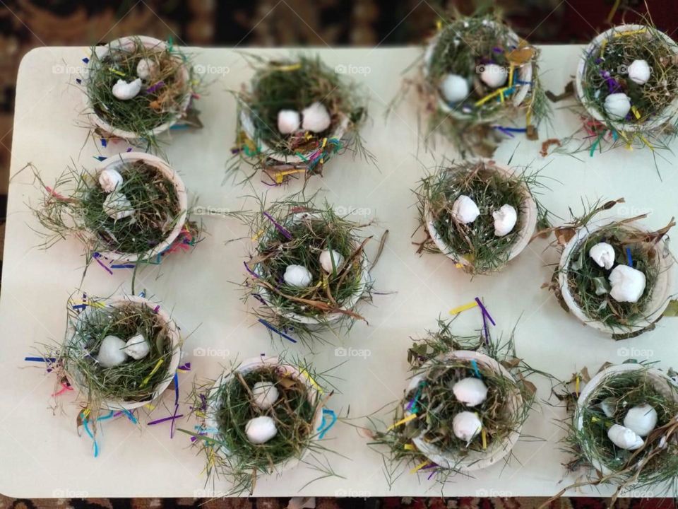 Self made bird nest. Train kids like never before. Happy assisting. Types of nests lesson for toddlers