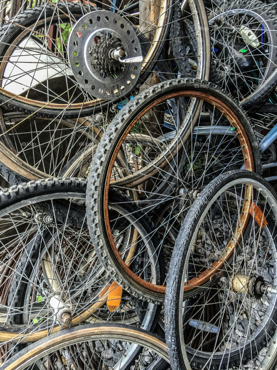 Old Bicycle Wheels