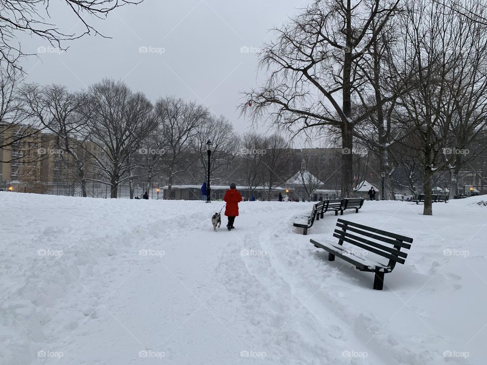 Walking the dog on a snowy day 