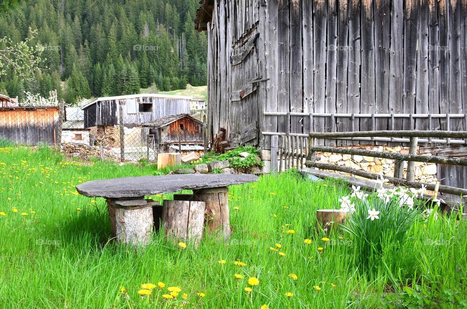 Spring In the Rhodope Mountains, Bulgaria