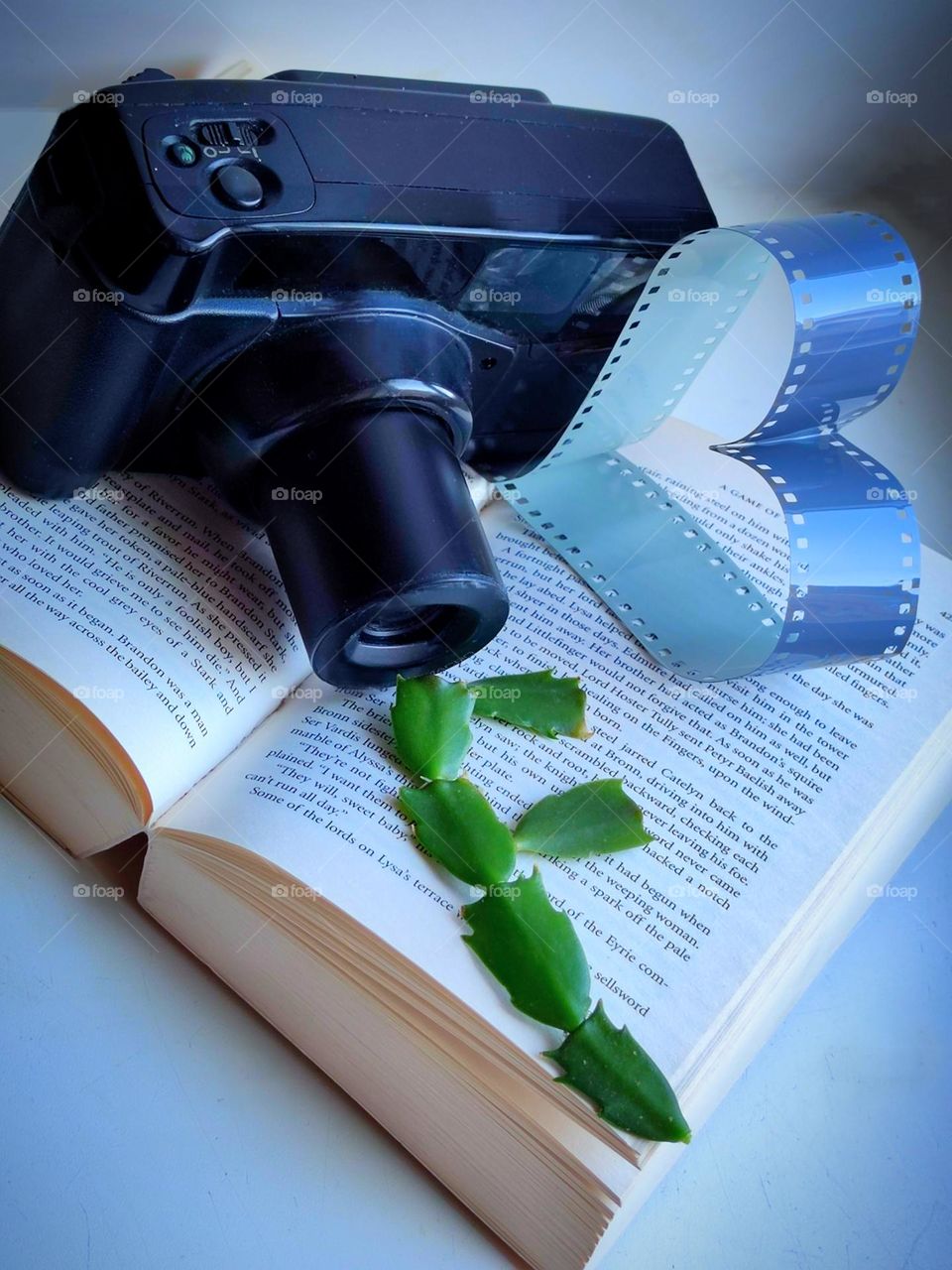 An open book lies on a white background. On top of the book is a black camera holding a heart-shaped film. On the book lies a green stem of a cactus in the shape of the letter "F"