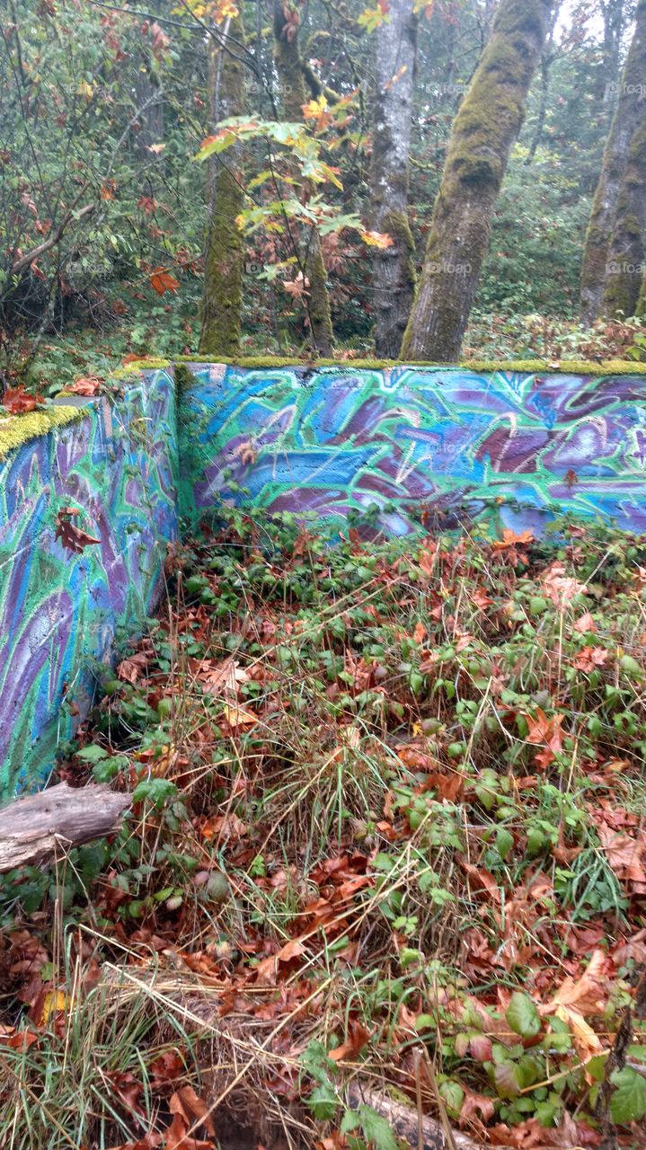 Forest wall Graffiti