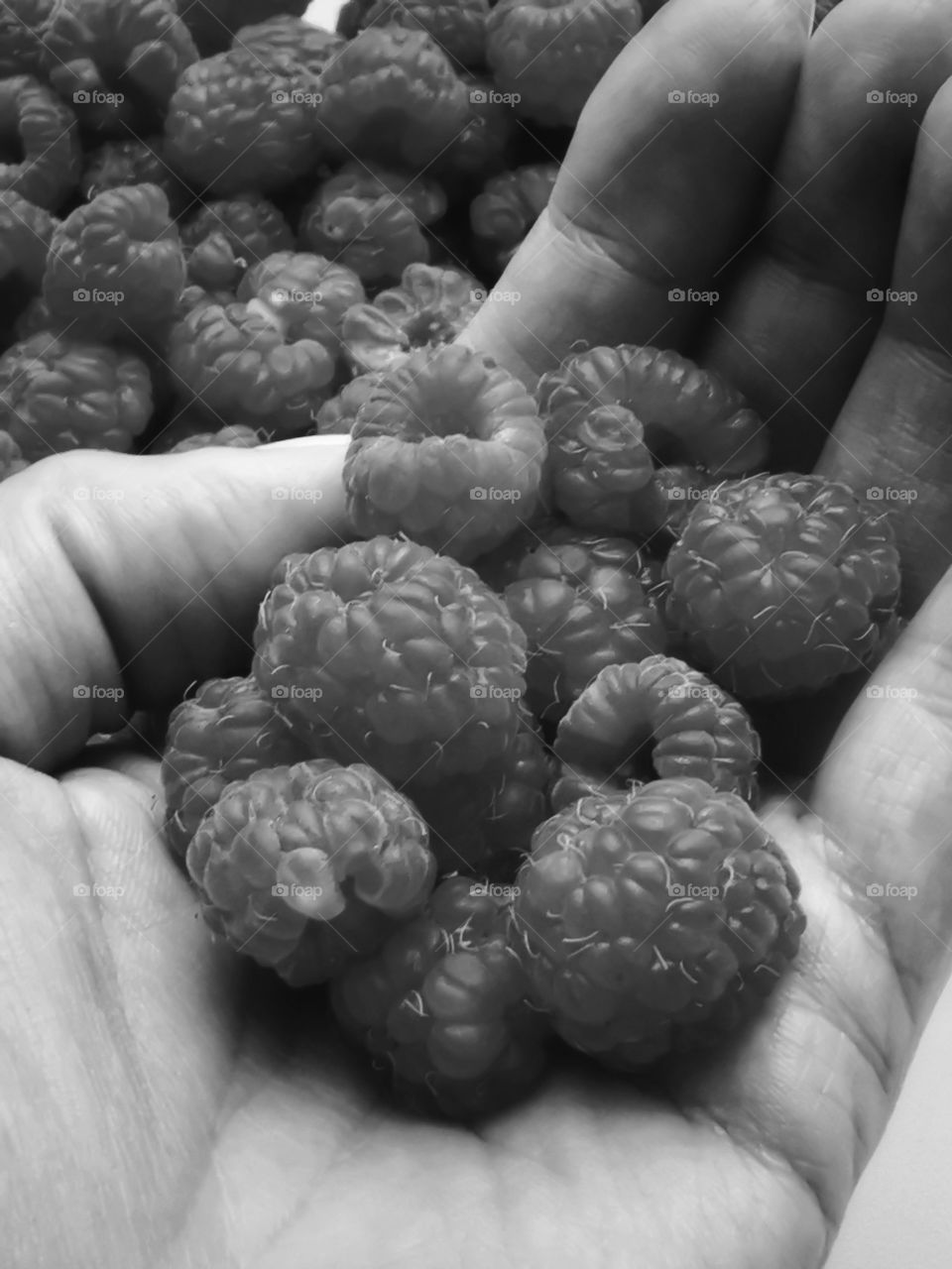 Fromboise berry hand happy view bio fresh yummy healthy Red raspberry nature eco vegan juicy fruits