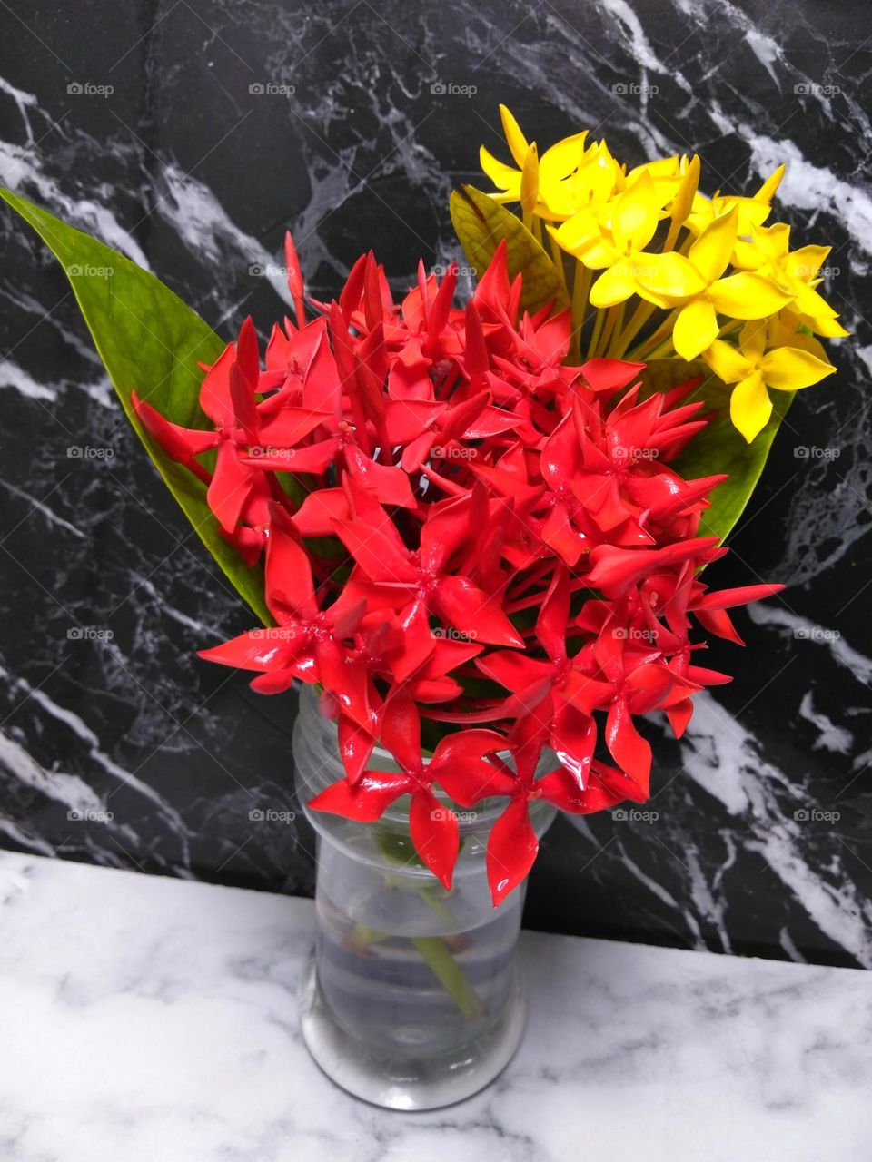 Red and yellow flowers on vase