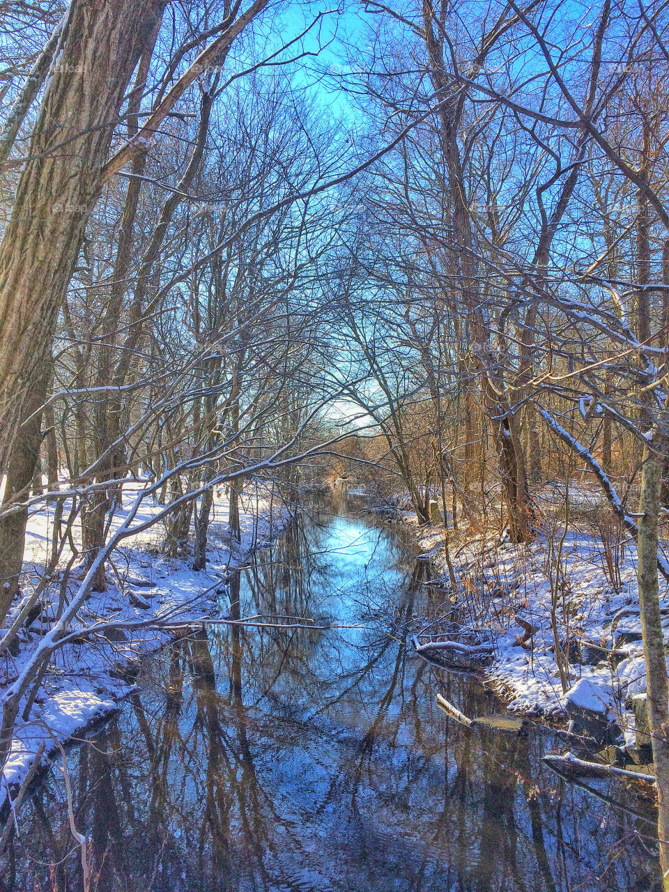 Bruce Brook in Stratford, CT