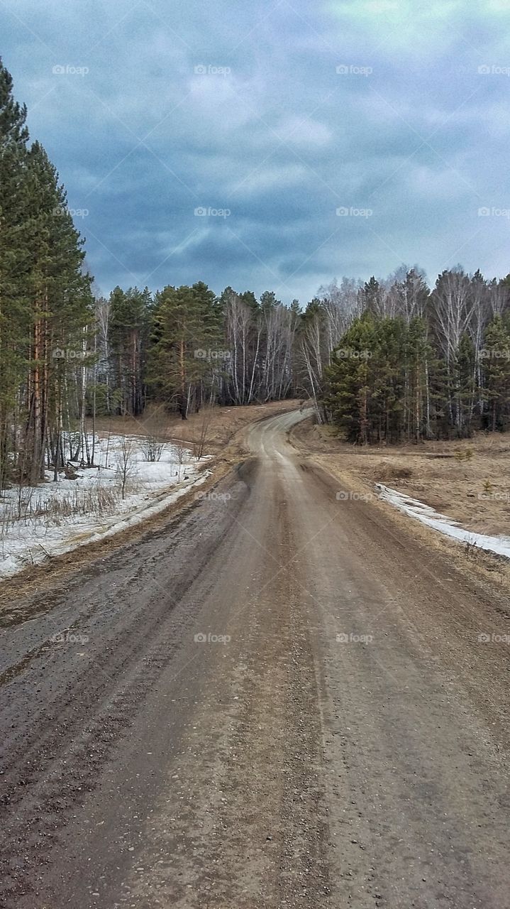 дорога между лесом, ранней весной