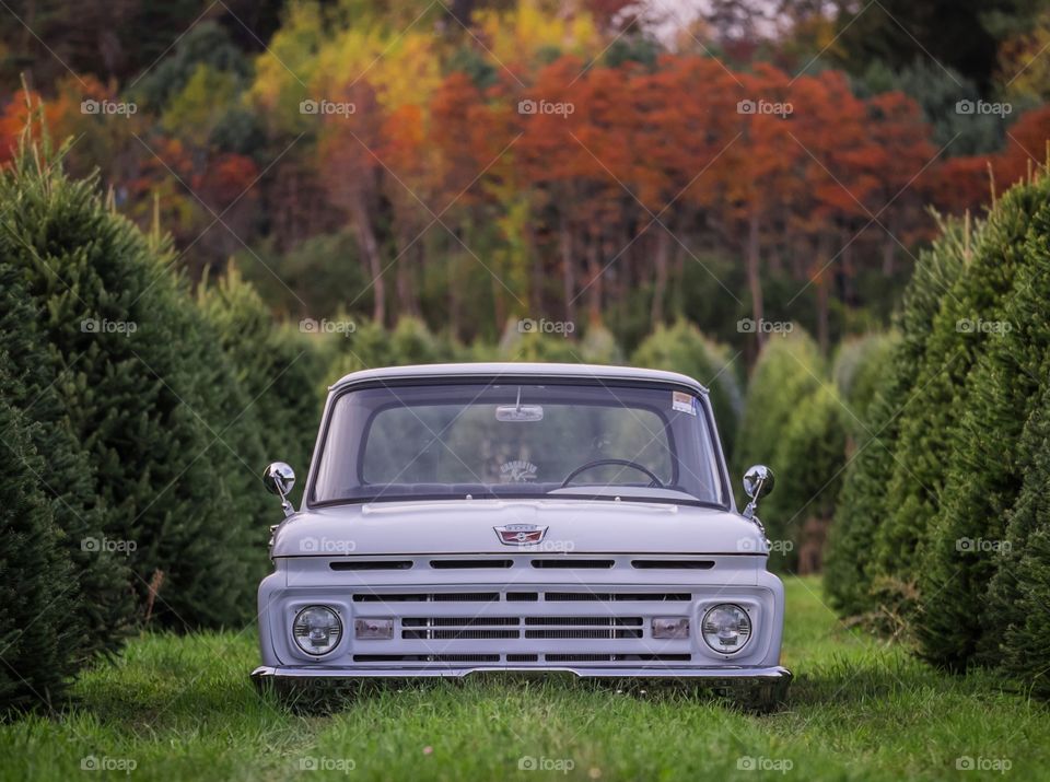 F100