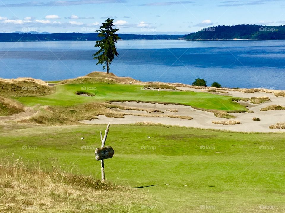 Hole #15 'Lone Fir' - Chambers Bay Golf Course, Site of 2015 US Open