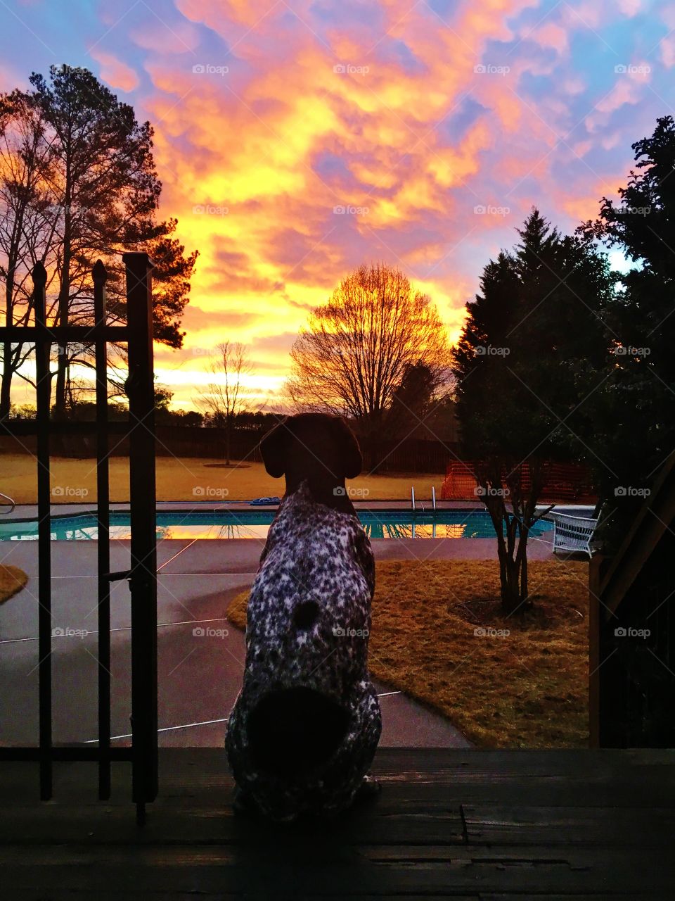 Sunset on the back porch