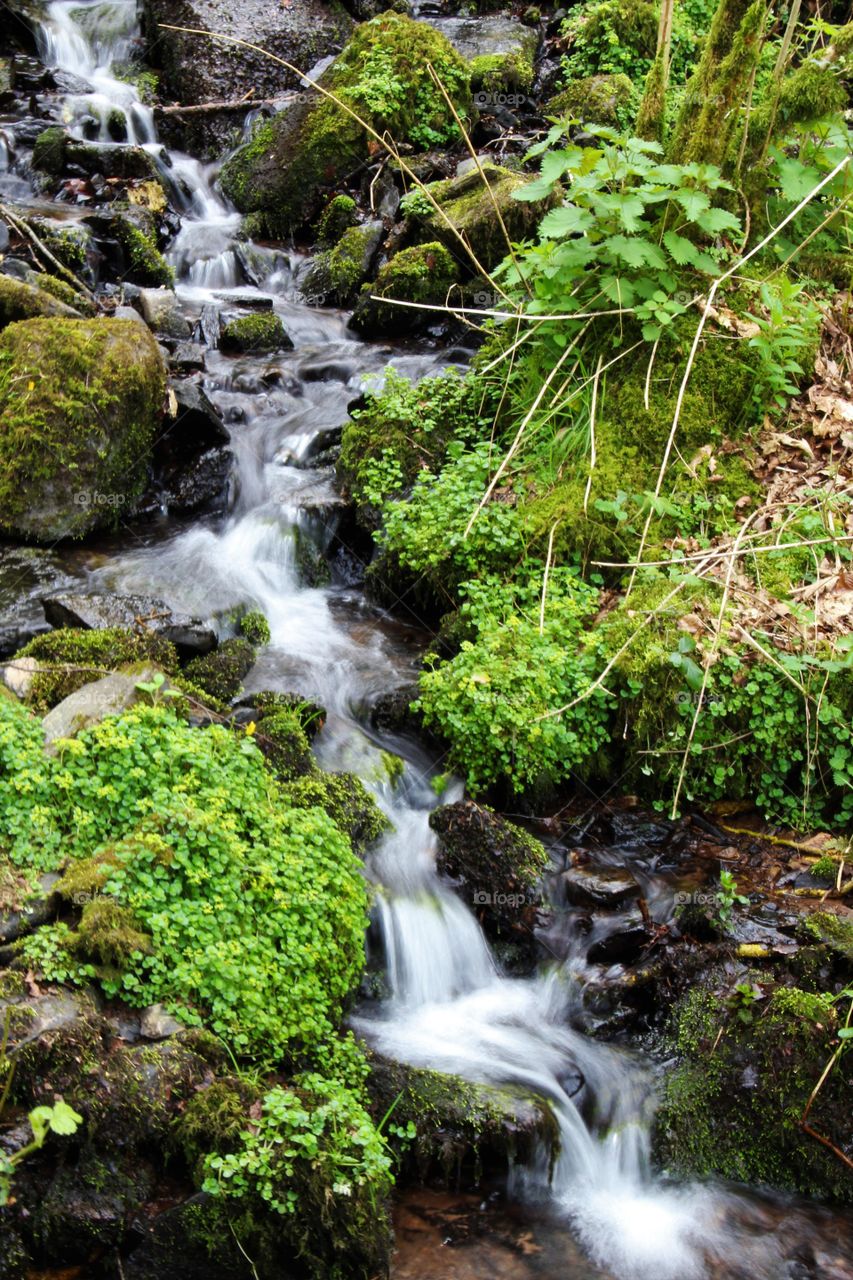 Water, Waterfall, Stream, Nature, River