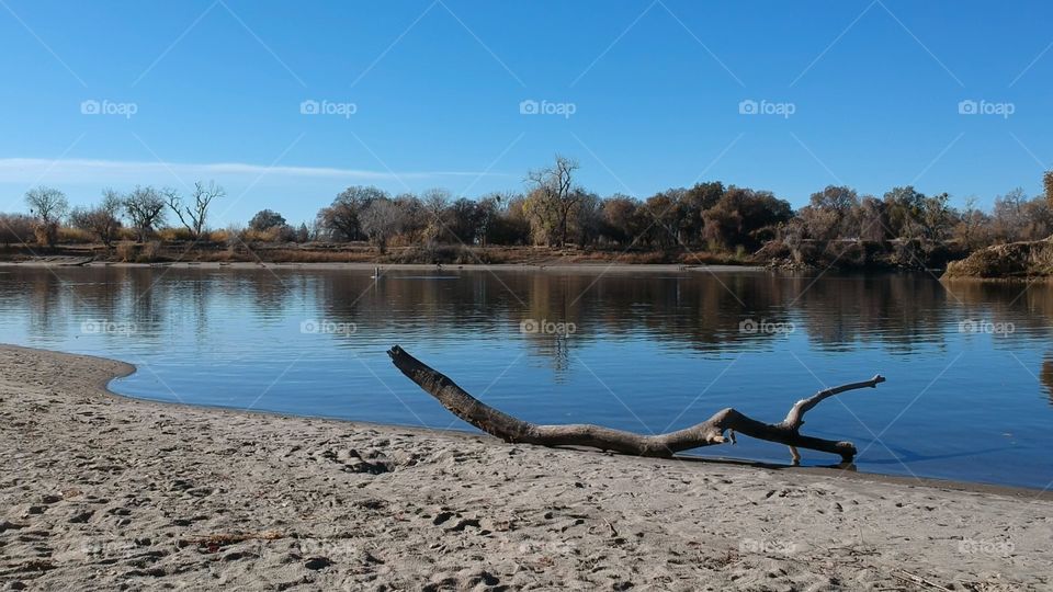 beach view of nature's waterway