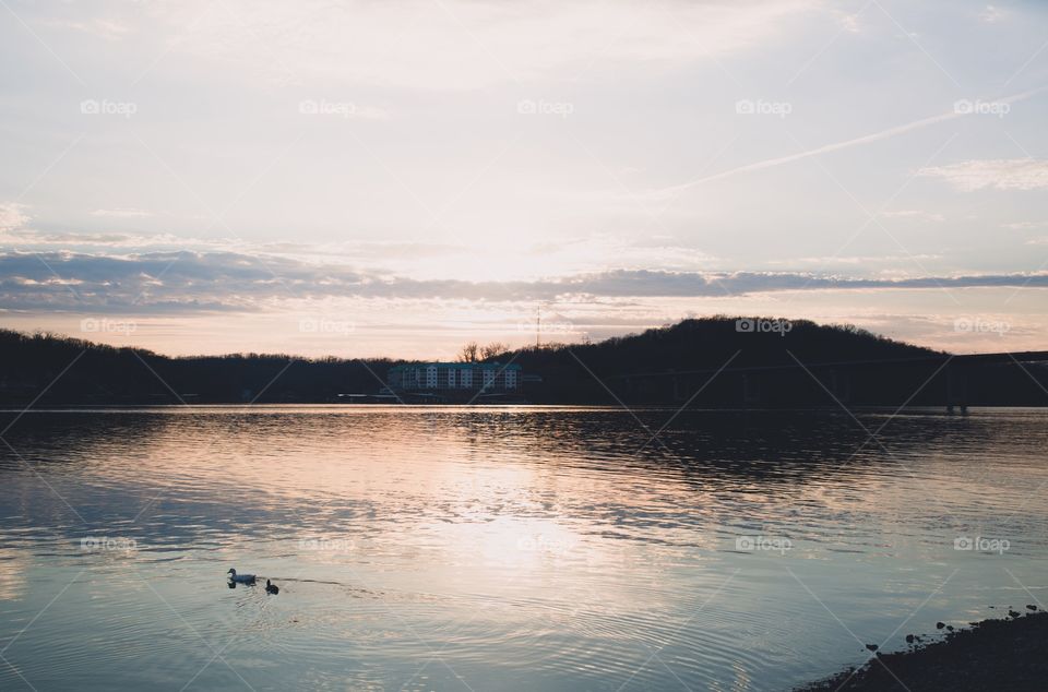 Ducks at sunset