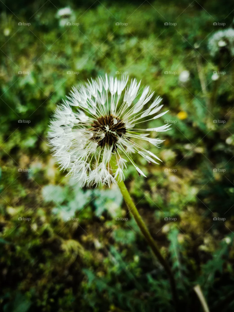 go green