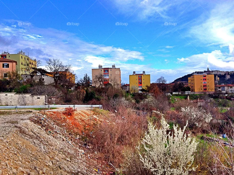 Buildings 