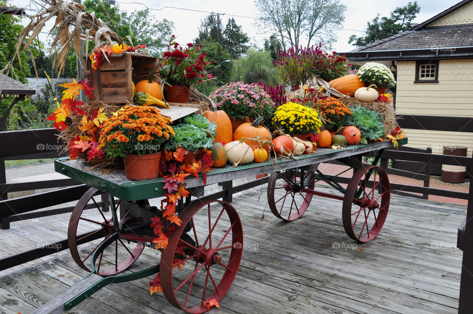 Fall in New Hope, PA