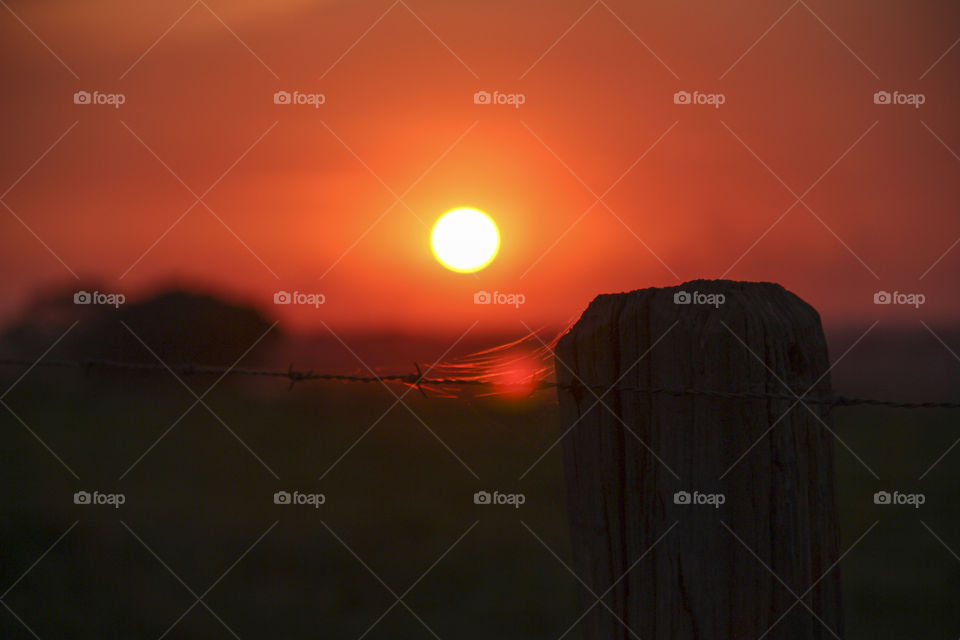 Fence at sunset