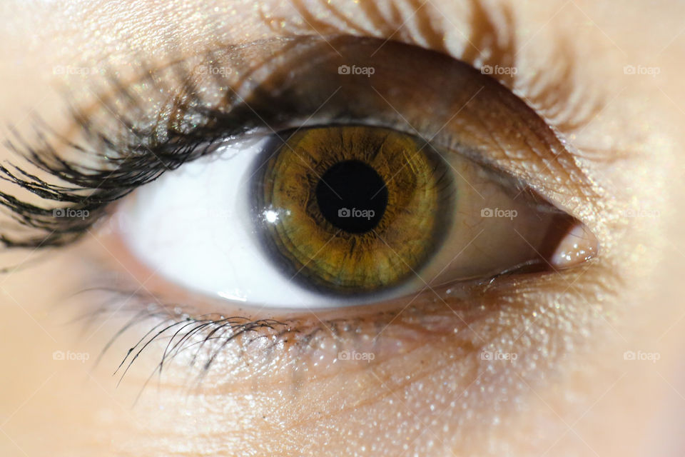 Beautiful and detailed hazel-green eye closeup